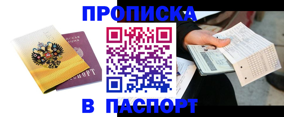 форма 3 в Камчатском крае